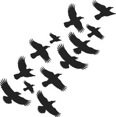 Flying crow bird silhouettes in group formation, black birds isolated on white background, perfect for nature, wildlife, freedom, vector illustration