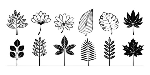 set of vector silhouette of leaves