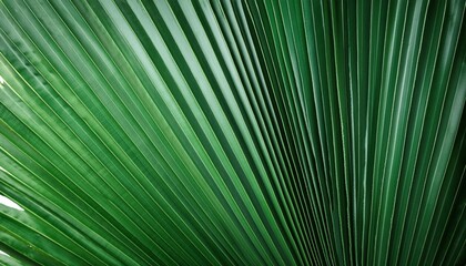 Obraz premium Vibrant Green Background Fresh and Natural Backdrops for Your Designs