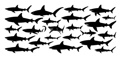Black shark silhouettes swimming ocean water marine life white