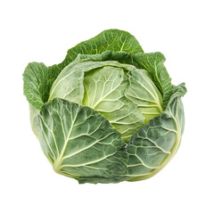 Fototapeta premium Cabbage Vegetable on isolated PNG