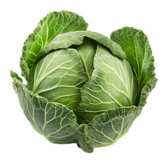Cabbage Vegetable on isolated PNG