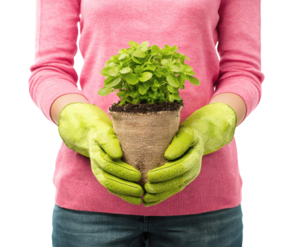 Person in pink sweater holding a small plant in a burlap pot, gardening.