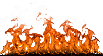 Bright orange and yellow fire flames on black and white backgrounds