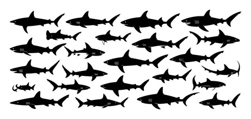 Diverse shark silhouettes collection with various poses and sizes vector illustration