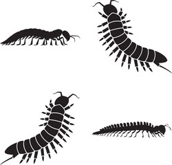 Black silhouette vector set of centipede and millipede insects, isolated on white background. Perfect for entomology, nature, and wildlife illustrations.