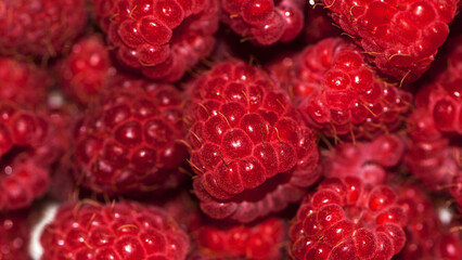 red raspberries. Raspberry background. Fresh big bright appetizing raspberry. View from above. Macro photo of a raspberry. large red juicy raspberry berries for background