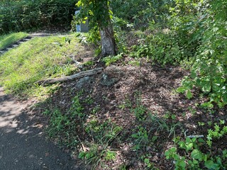 小樽市内の天狗山