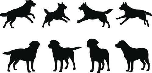 Dog Silhouette Vector Set: Running and Standing Poses of Various Breeds for Pet and Design Use