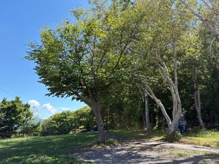 小樽市内の天狗山
