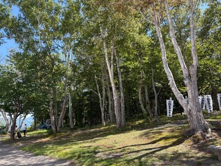 小樽市内の天狗山