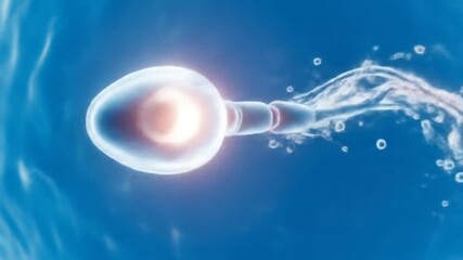 Microscopic View of a Sperm Cell - Powered by Adobe
