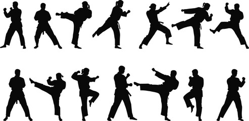 Martial arts silhouette set, karate poses, taekwondo kicks, kung fu stances, fighter actions, self-defense moves, combat illustration, black figures