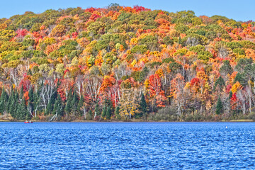 Boating on still waters by the beautiful foliage in orange, golden and pale green