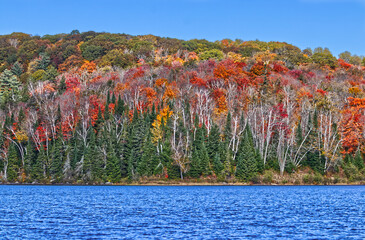 A Fall frame with a third of sky, a third of vegetation and a third of water