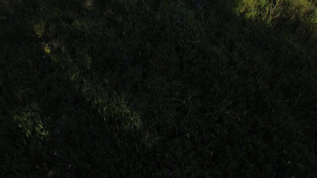 Aerial view drom drone on Mały Rozsutec, Slovakia