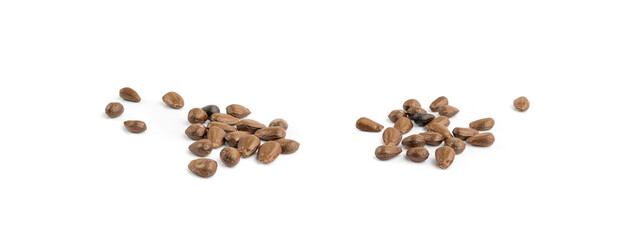 Cherimoya seeds isolated, Annona Cherimola pits, chirimoya stones or chirimuya fruit kernels on white