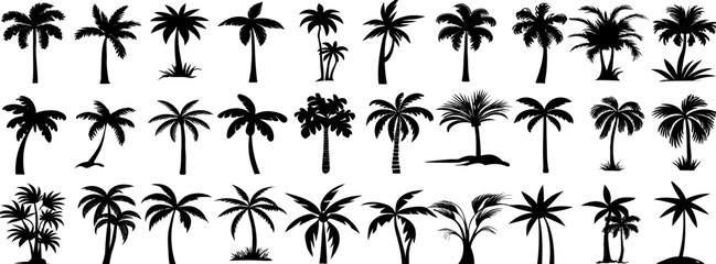 30 Black and White Palm Tree Silhouettes: Tropical Vector Graphics
