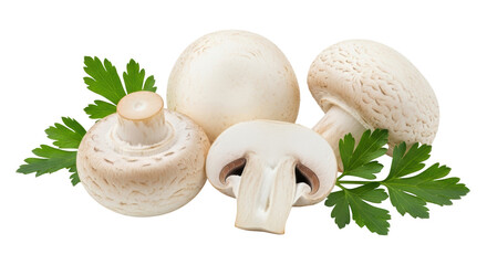 Isolated White Button Mushrooms