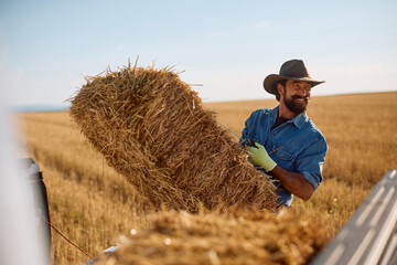 Happy man loading straw bales in pick-up truck while working in field. © Drazen