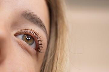 Close-up of a woman's eye after eyelash lamination procedure. 