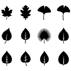 Obraz premium Leaf Silhouette Icon Set – Vector, PNG, SVG, and Clipart Collection for Designers