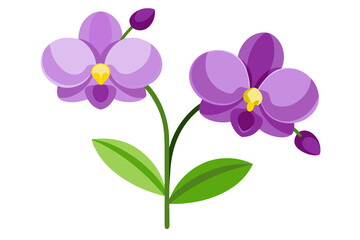 Minimal Flat Vector Illustration of Two Purple Orchid Flowers