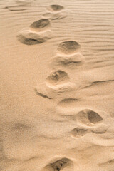 Footprints in the Golden Sand Under the Sun