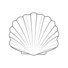 Elegant seashell line art illustration. Minimal and stylish design, perfect for coastal decor, summer projects, and ocean themes.