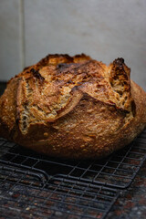 Organic wholwheat sourdough bread