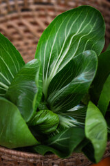Organic pak choi