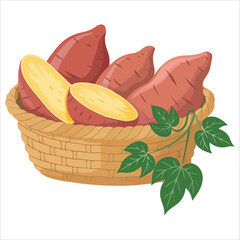 Sweet potato in basket with leaves vector illustration