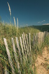 Fototapeta premium Paysage