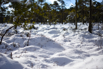 Sun rays hit the snow at Blängsmossen, Skövde, Sweden