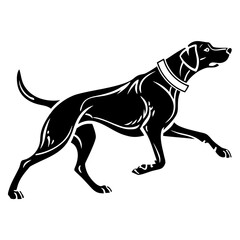 Obraz premium Vector art of silhouette of a pointer dog running isolated on white background