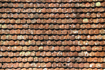 Close-up of weathered, moss-covered fish scale roof tiles with peeling clay coating, showing signs of aging and natural wear