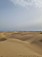 sand dunes on the beach