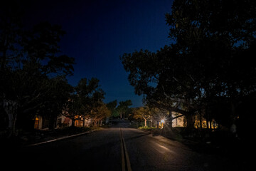 Night time street photos with trees and structures 