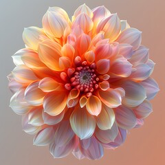Stunning chrysanthemum bloom in radiant warm colors high resolution picture