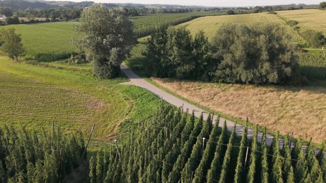 Fly with me along the Bavarian hops fields close to Pfaffenhofen region which is called the Holledau region and which is one of the biggest hops agriculture areas worldwide