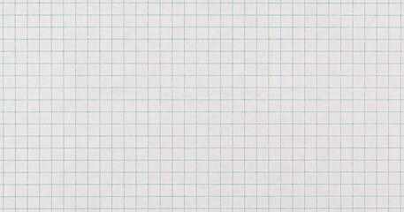 Checkered Paper Sheet with Close-Up Grid on Isolated White Background for Notes