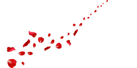 Red rose petals on transparent background	