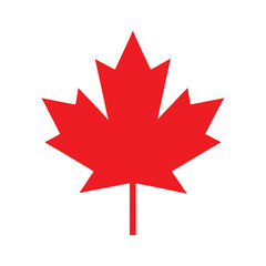 Obraz premium canadian red maple leaf