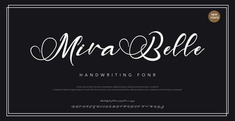 Hand drawn vector alphabet. Modern monoline signature script font. Elegant Signature Font. Best Alphabet Beautiful Calligraphy Signature Font lettering handwritten