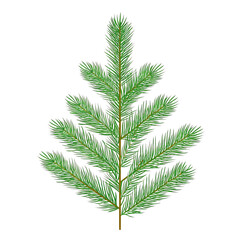 Green fir branch with multiple offshoots, realistic 3D render &mdash; white isolated background