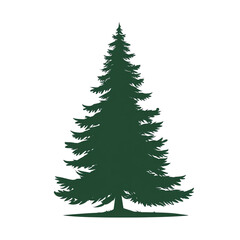 Obraz premium Snow-tipped evergreen fir with ground snow, isolated on transparent background