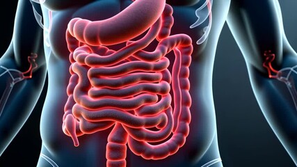Pain intestines, abdominal cramps, digestive health. Gut discomfort. Intestines inflame during stress episodes. Stomach acidity worsens digestion quality. Bowel movements regulate nutrient absorption.