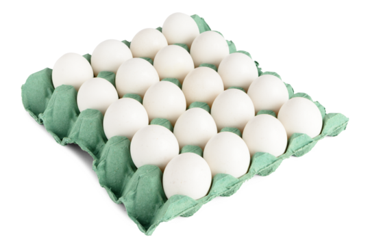 Cardboard tray with 20 white chicken eggs, isolated on a transparent background.