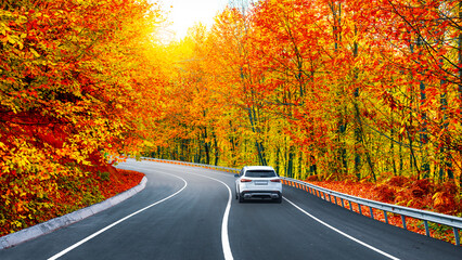 car drive on autumn road in beautiful nature. autumn colors in beautiful mountain road landscape....