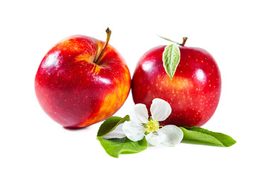 Red juicy apples with flowers and leaves. Isolated on white background.